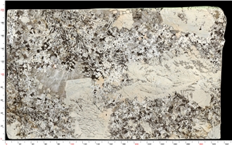 Patagonia Quartzite Slabs Polished Smooth Surface Timeless Design