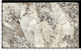 Patagonia Quartzite Slabs Resistant High-End Style
