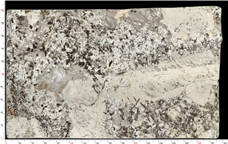 Patagonia Quartzite Slabs Tailored Sophistication