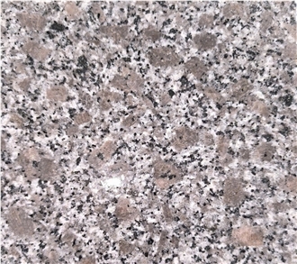 (Vietnam Granite) Splendor - Phu Cat Violet Granite Slabs