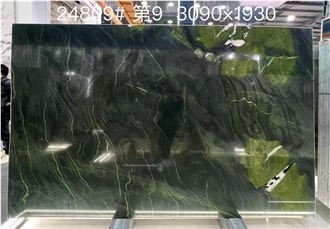 Brazil Avocado Green Avocatus Quartzite Slab Wall Tiles