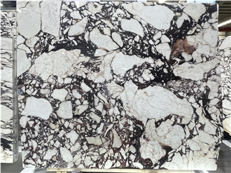 Italy Calacatta Viola Marble Slabs