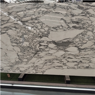 Kungfu Stone Supply Bvlgari White Marble Slabs