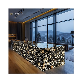 Black Backlit Agate Translucent Semiprecious Stone Kitchen Countertop