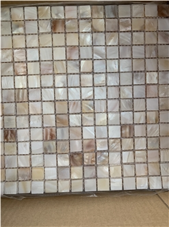 Mixed Color Pearl Shell Wall Mosaic Tiles