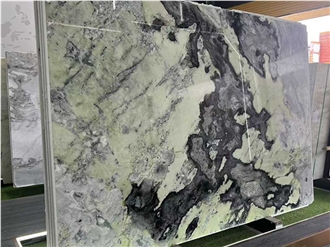 Green Cactus Boreal Quartzite Slabs For Table
