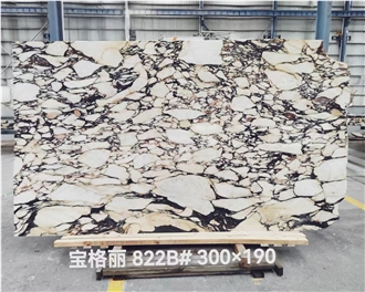 New Collections Calacatta Viola Marble Slabs