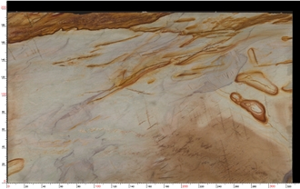 Picasso Quartzite Slabs Featuring Rich Color Combinations