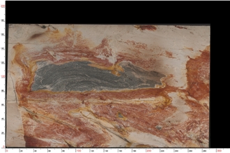 Picasso Quartzite Slabs Showcasing Striking Color Contrasts