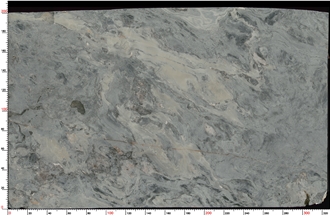 Portinari Quartzite Slabs Revealing Layered Gray Motifs