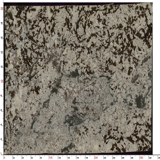 Splendor White Granite Slabs Blended Gray - Brown Hues