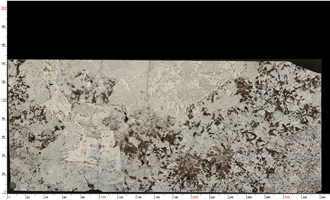 Splendor White Granite Slabs Displaying Tile For Decoration