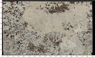 Splendor White Granite Slabs Featuring Layered Color
