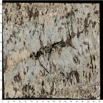 Splendor White Granite Slabs Featuring Mottled Gray Patches