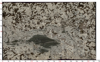 Splendor White Granite Slabs Striking Dark Surface Details