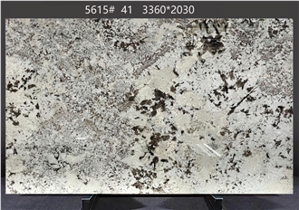 Splendor White Granite Slabs With Asymmetric Dark Veining