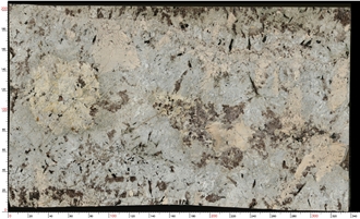 Splendor White Granite Slabs With Subtle Brown Specks