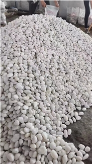 Highly Polished White Pebble Garden Pebbles