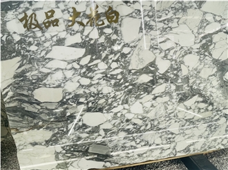 Italy Arabescato Corchia Marble Slabs For Luxury Decor