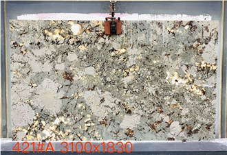 Nice Splendor White Granite Slabs For Luxury Design