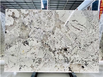Pandora Granite With White Background  Slabs