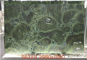 Vitoria Regia Quartzite Slabs