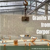 Vietnam Granite Slabs, Granite Tiles