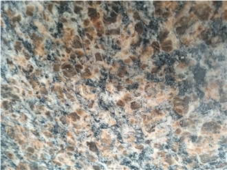Natural Brown Caledonia Granite Slabs