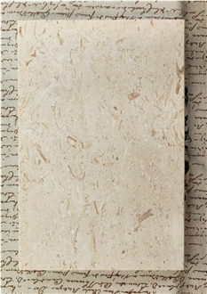 Shelly Beige Marble Pure Natural Board Home Decor Products