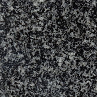 Royal Black M13 Granite Polished  Slabs