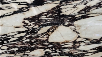 DMD Calacatta Viola Marble Slabs At Discount