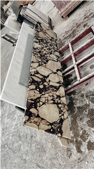 Italian Calacatta Viola Marble Tiles