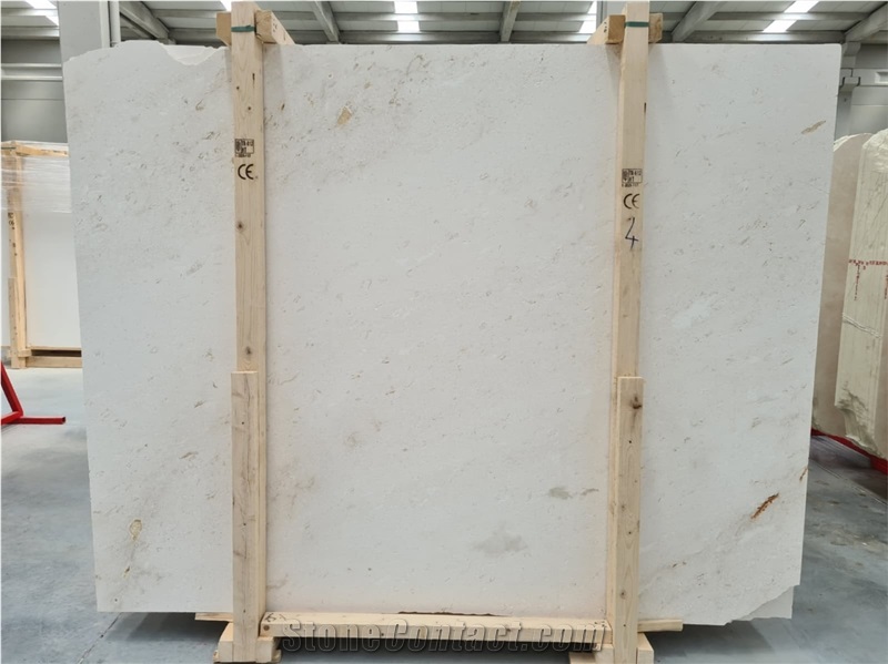 Myra  Shell Limestone Slabs