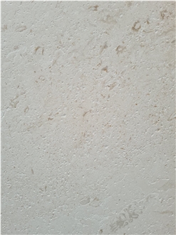 Myra  Shell Limestone Slabs