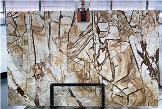 Roman Impression Quartzite Slabs For Living Room