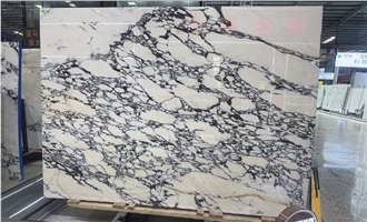 Calacatta Viola Marble Polished Slabs Tiles