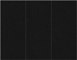 China Black  Sintered Stone Slabs