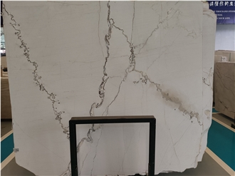 China Irregular Vein Picasso White Marble Slabs