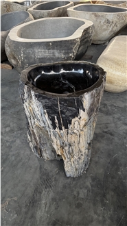 Petrified Wood Black Jurassic Stone Pedestal Basin