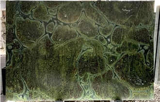 Vitoria Regia Quartzite  Slabs For Decoration