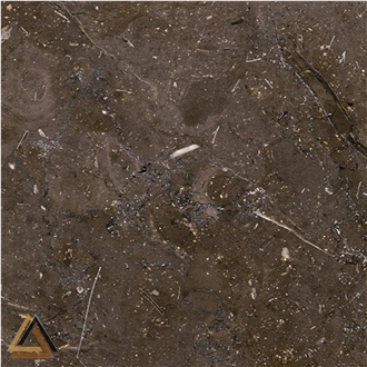 Meli Brown Marble Tiles