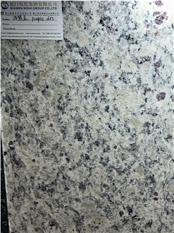 Santa Cecilia Light Granite Purple Dot Slabs