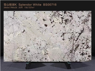 Splendor White Granite Polished Slabs