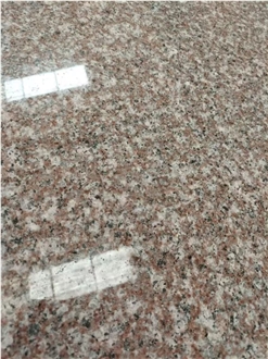 New 664 Granite Red Color Wall Tiles