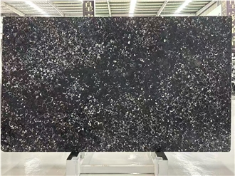 Peacock Eye China Black Fossil / Sea Shell Marble Slabs
