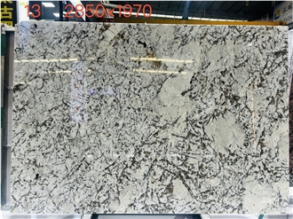 Snow & Silver Fox Luxury Granite Slab Tiles