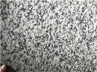 China Bala White Granite Slab Tile Good For Floor
