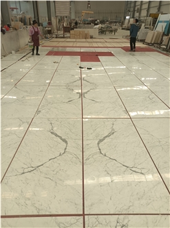 Statuary Marble Floor & Wall Tiles