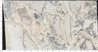 Picasso White  Marble Slabs
