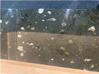 Black Galaxy Quartz Slabsö Tiles